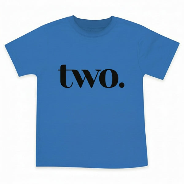 Two Year Old Birthday Boy second Bday Party Tshirt for 2 Year Old Toddler Boy