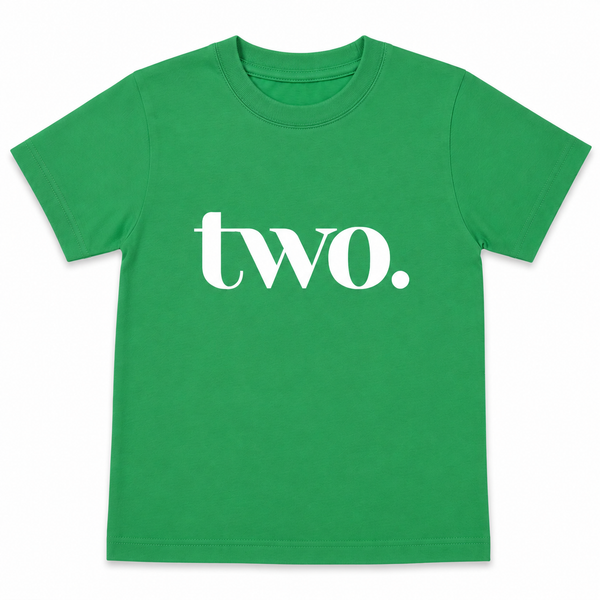 Two Year Old Birthday Boy second Bday Party Tshirt for 2 Year Old Toddler Boy