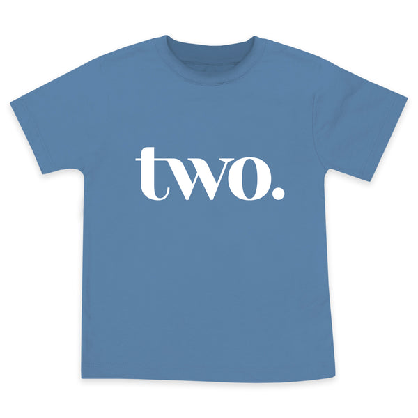 Two Year Old Birthday Boy second Bday Party Tshirt for 2 Year Old Toddler Boy